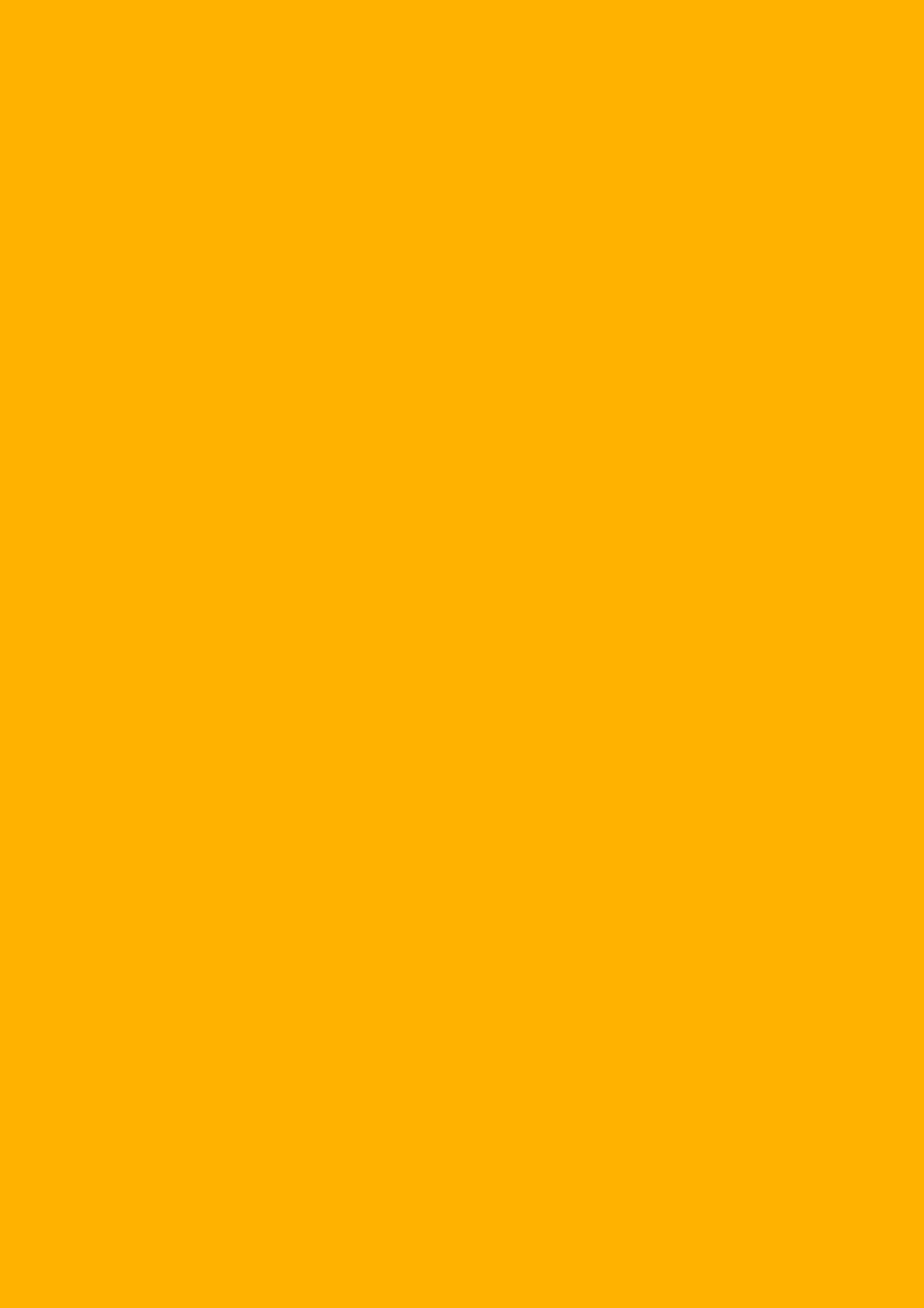 STEWO Geschenkpapier Uni Plain