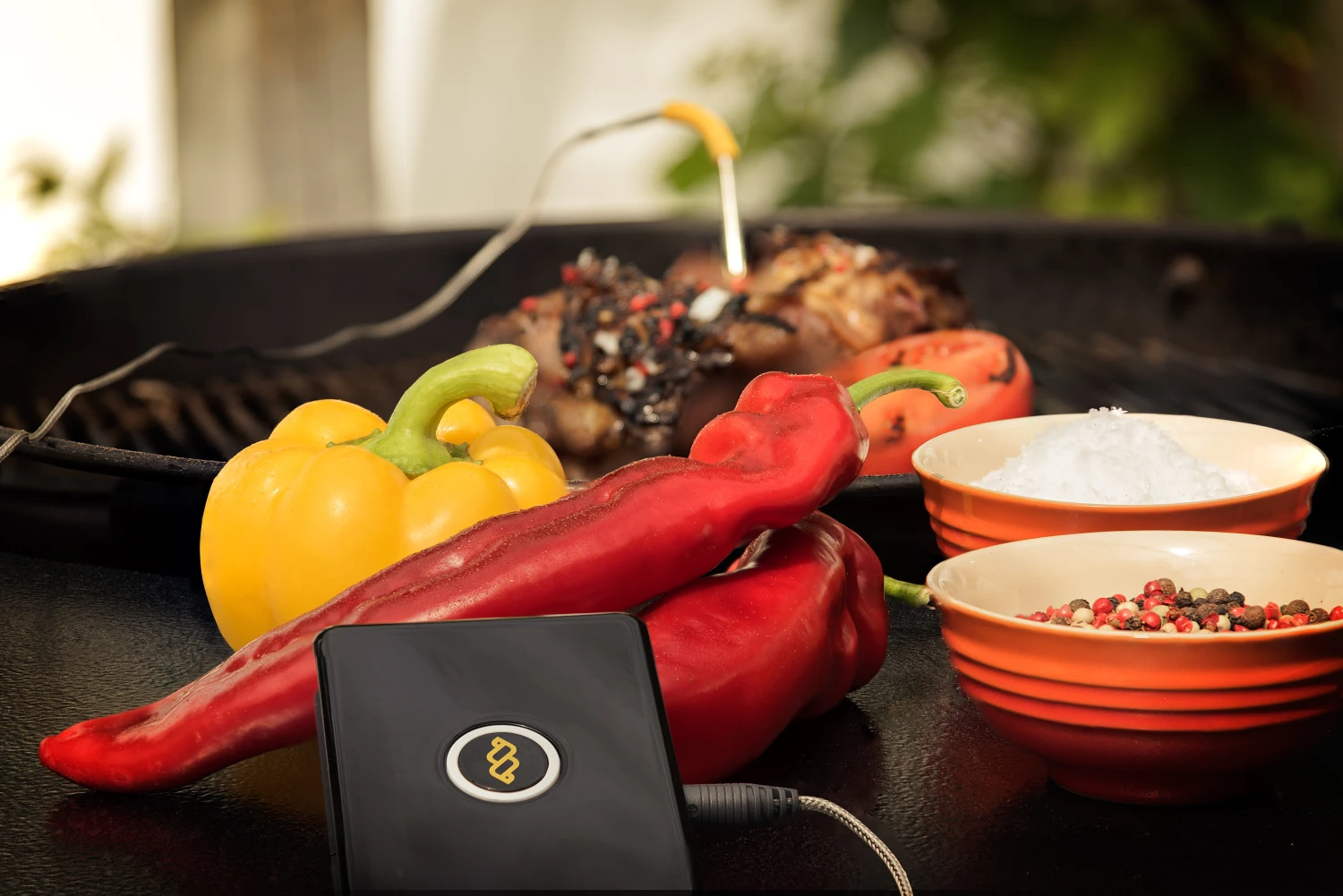 WeGrill One Fleisch-Temperaturmesser