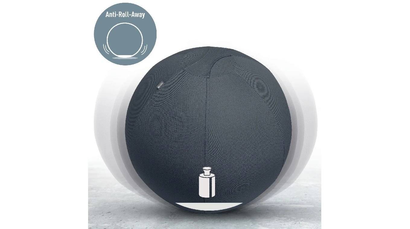 LEITZ Sitzball Ergo Active 65 cm