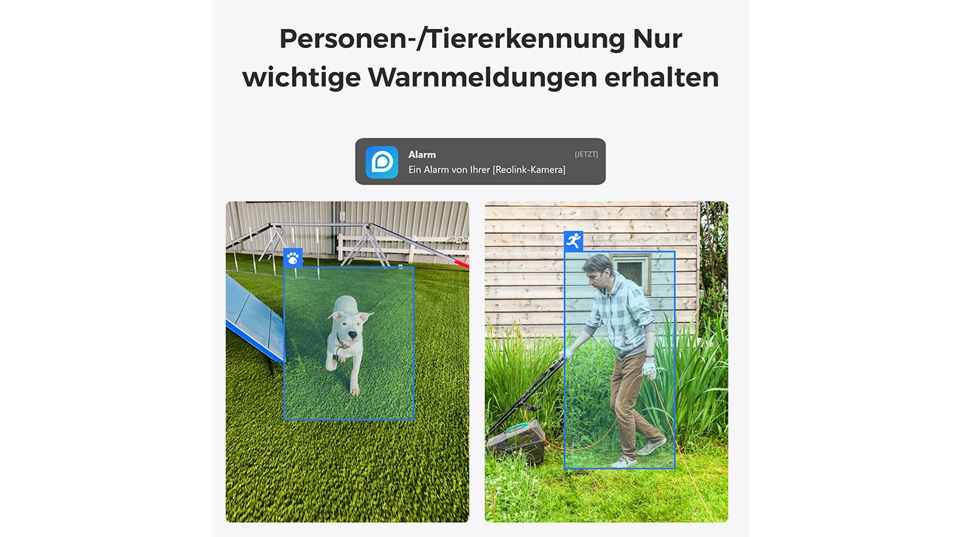 REOLINK Indoor Wifi Kamera