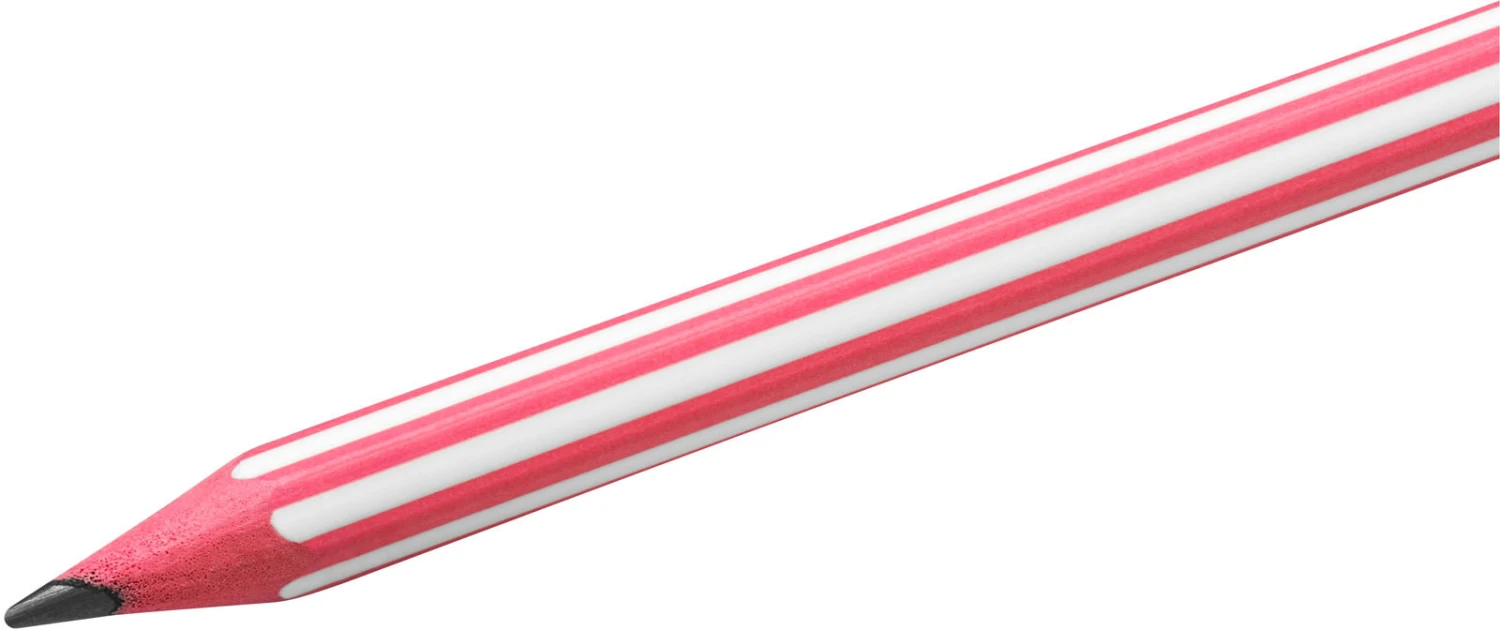 BIC Bleistift Evolution Stripes - 12 Stk