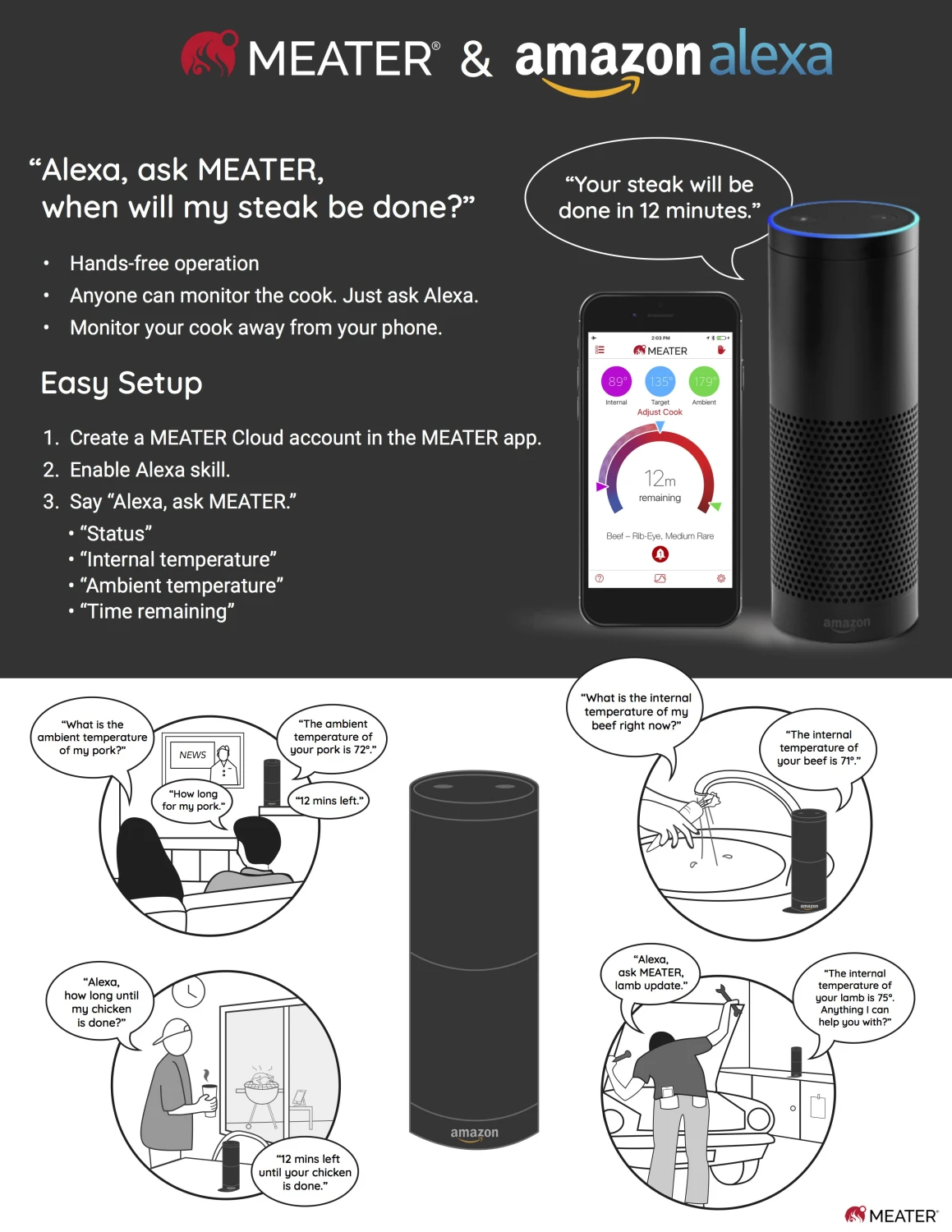 ApptionLabs Meater+