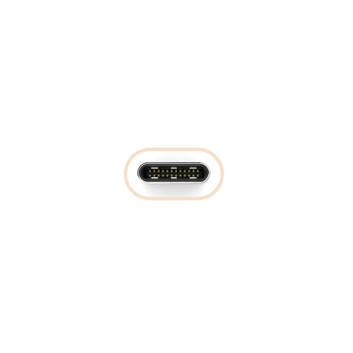 ARTWIZZ USB-C auf USB-C Highspeed Lade- und Sync-Kabel