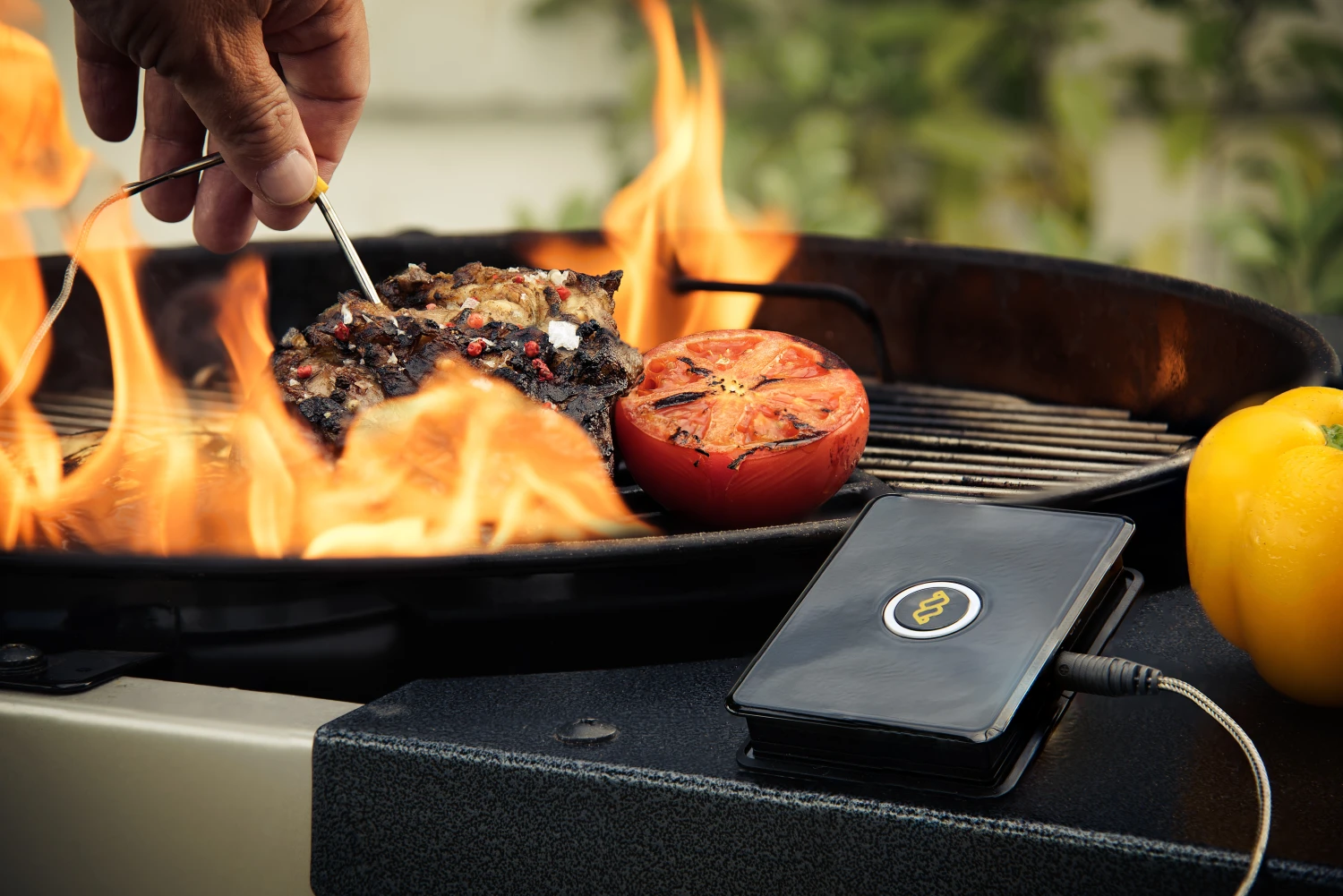 WeGrill One Fleisch-Temperaturmesser