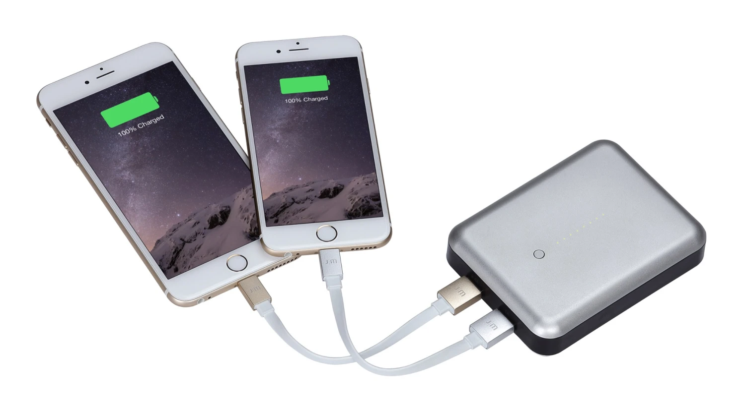Just Mobile Gum Max Duo Hochleistungsbatterie 11'200 mAh