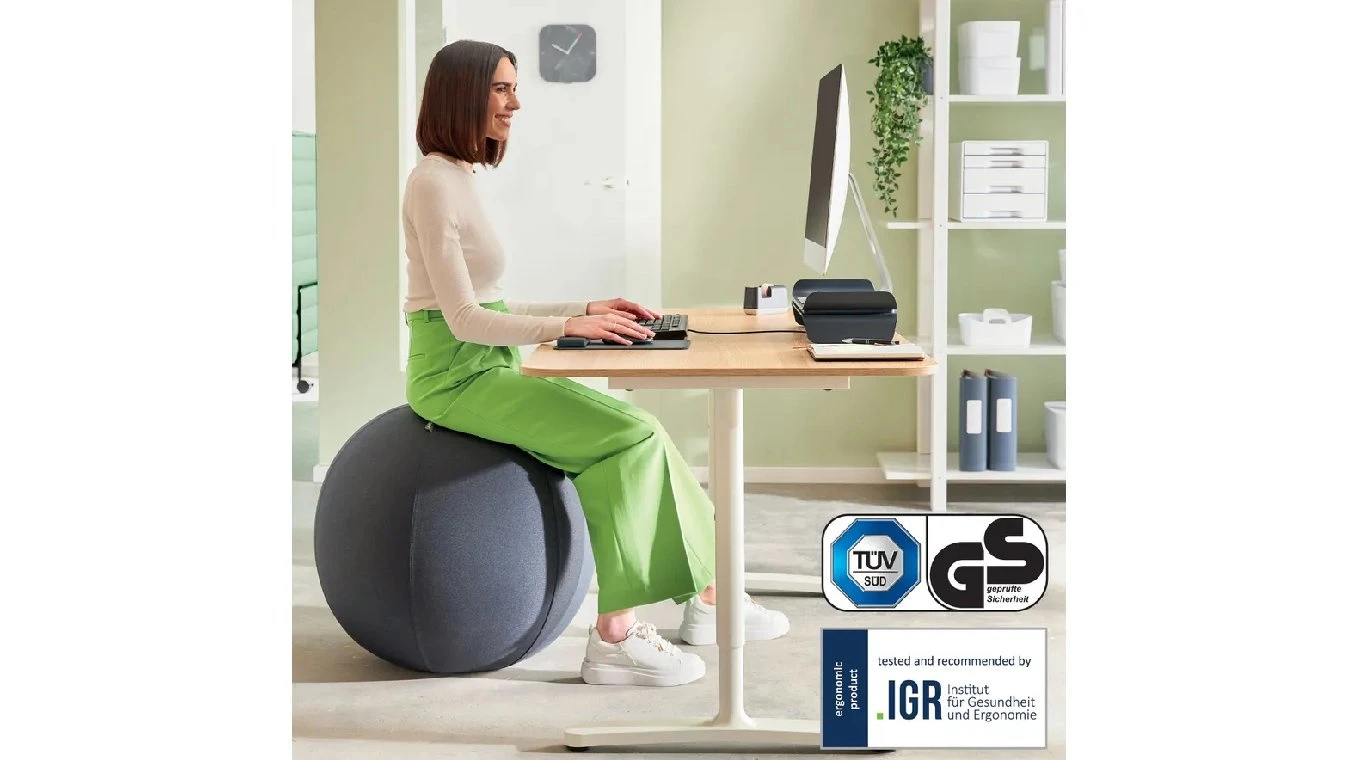 LEITZ Sitzball Ergo Active 55 cm