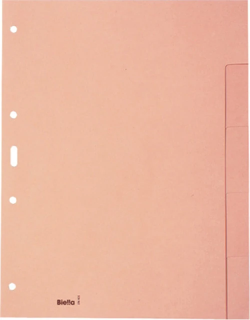 BIELLA Blankoregister 5-teilig