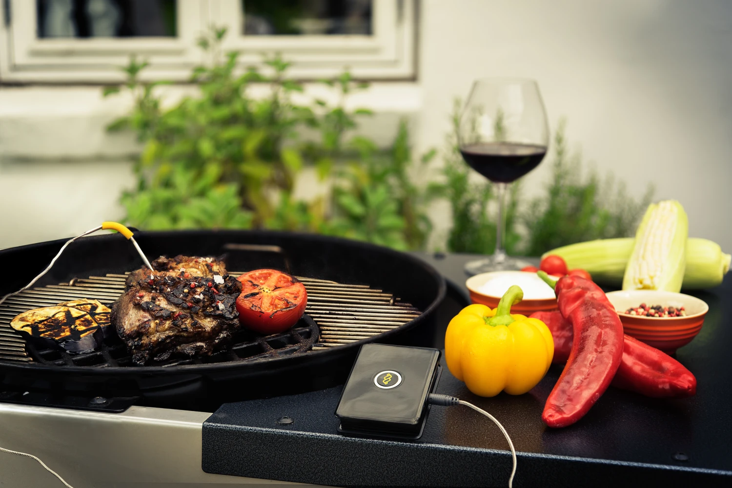 WeGrill One Fleisch-Temperaturmesser