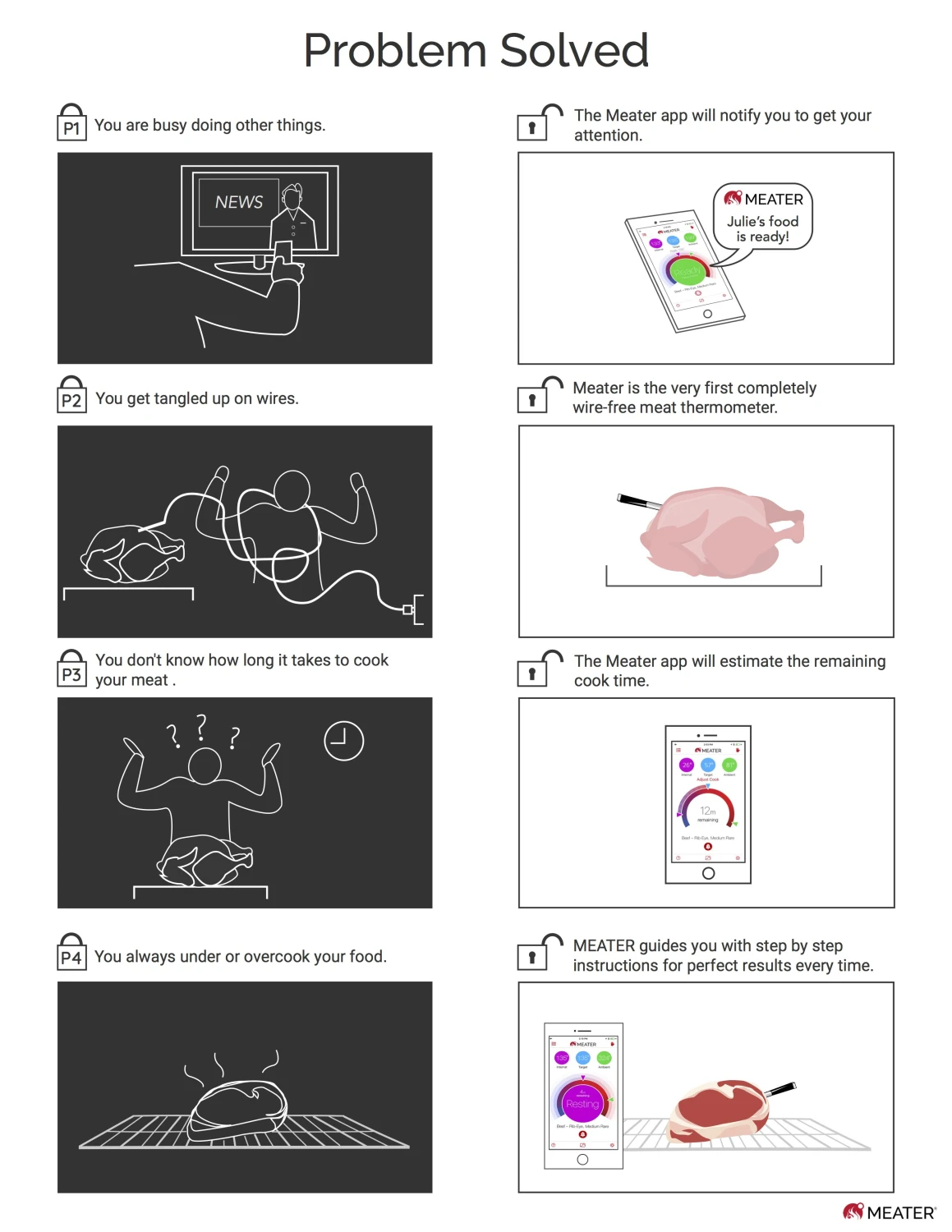 ApptionLabs Meater+