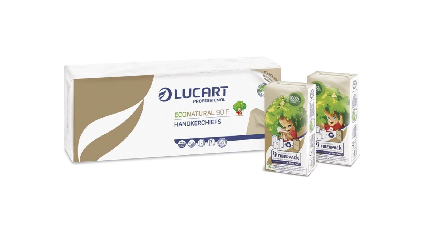 LUCART Taschentücher EcoNatural 90 F 4-lagig, 24 x 10 Pack