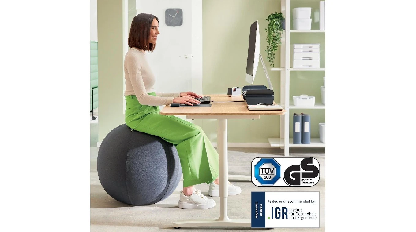 LEITZ Sitzball Ergo Active 75cm
