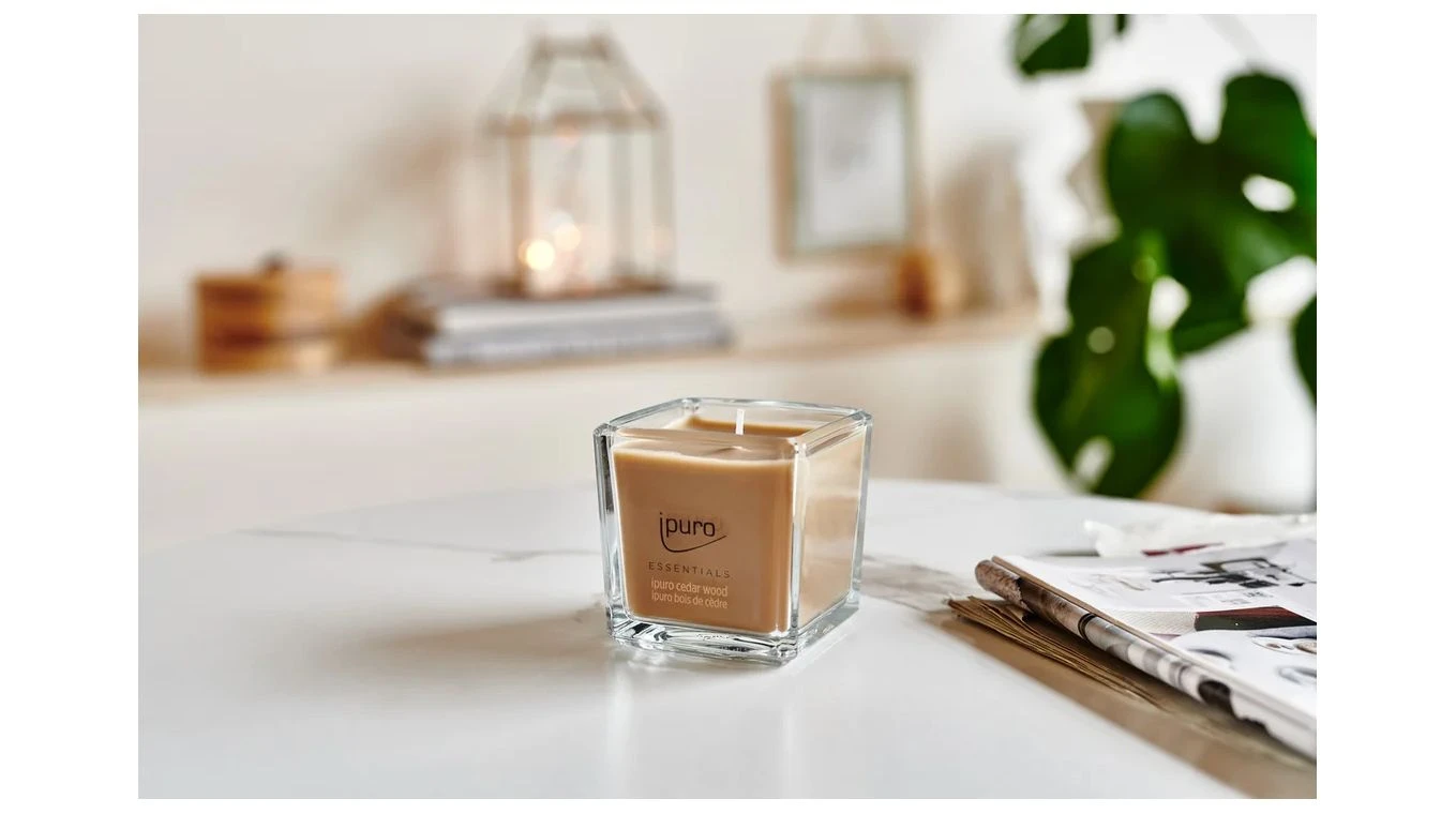 IPURO Duftkerze Essentials Cedar Wood