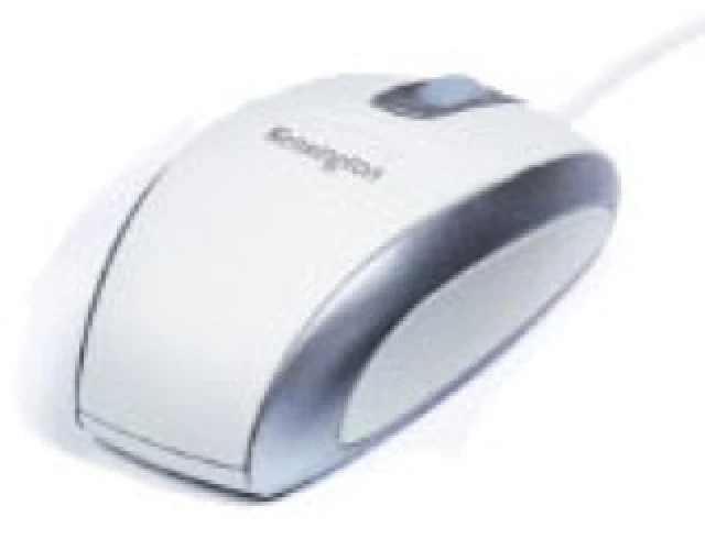 Kensington ValuOptical USB Maus