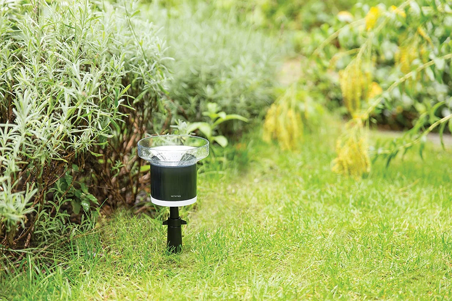 Netatmo Smarte Wetterstation + Regenmesser