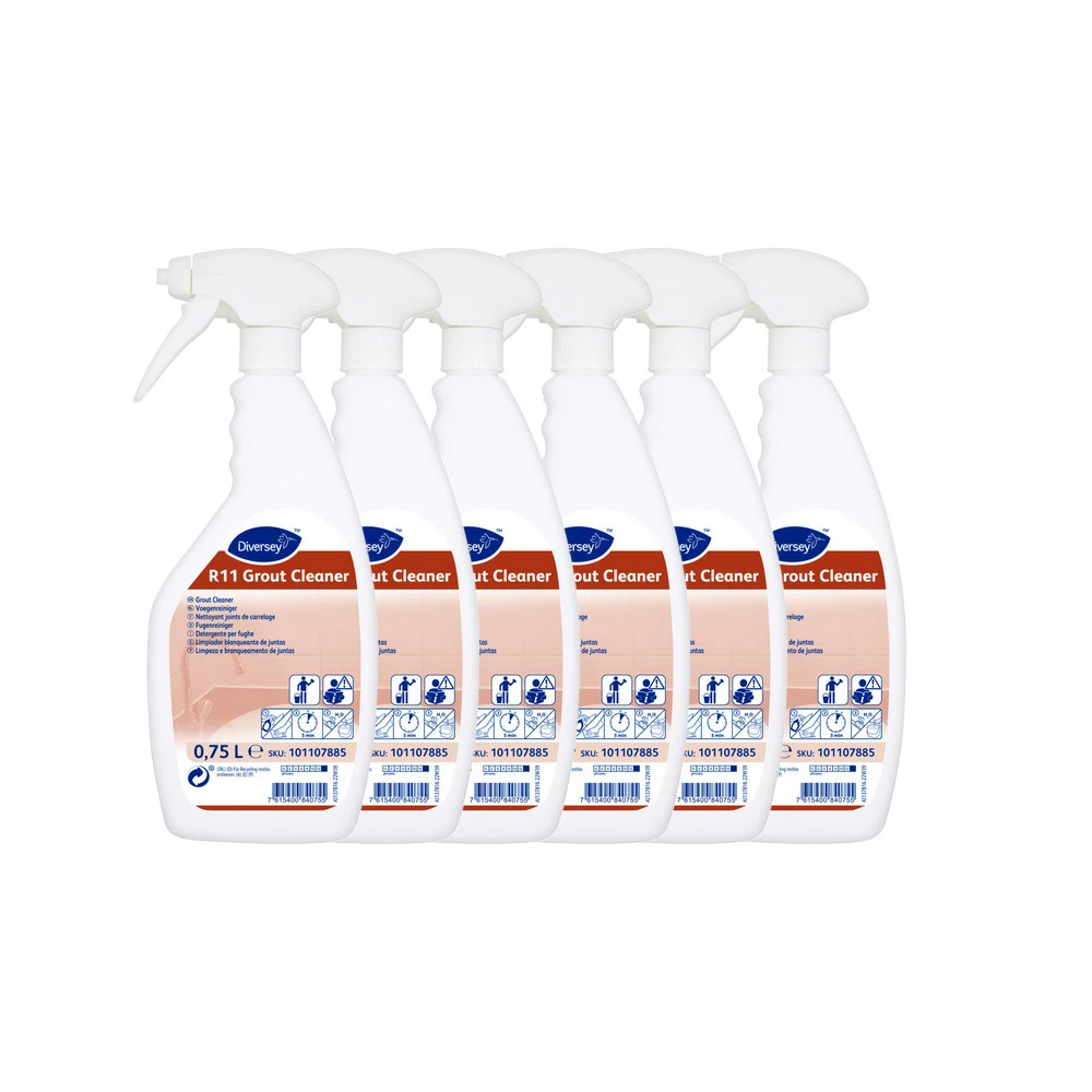 ROOM CARE Fugenreiniger R11 Grout Cleaner 6 x 750 ml
