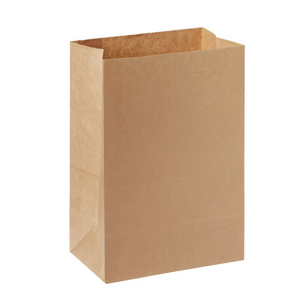 BIOPAK Take-Away Tasche 5 L, 500 Stück
