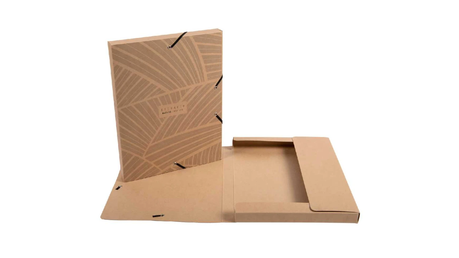 EXACOMPTA Archivbox, A4,Eterneco R 25 mm sortiert