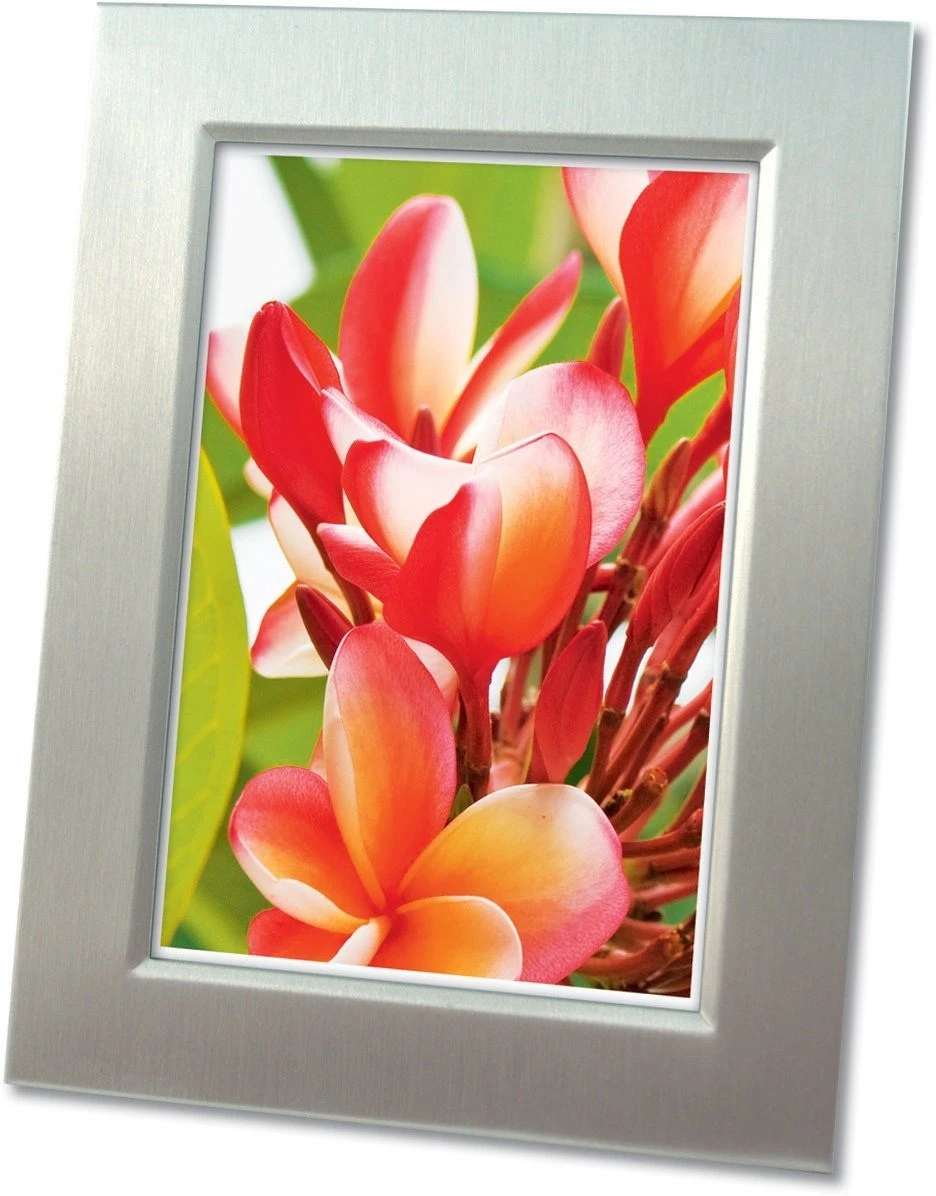 AVERY ZWECKFORM 2556-20 Profi-Fotopapier A4