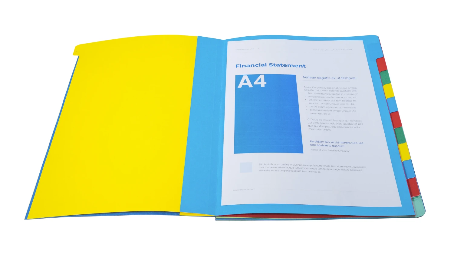 EXACOMPTA Ordnungsmappe Harmonika 12 Fächern, A4