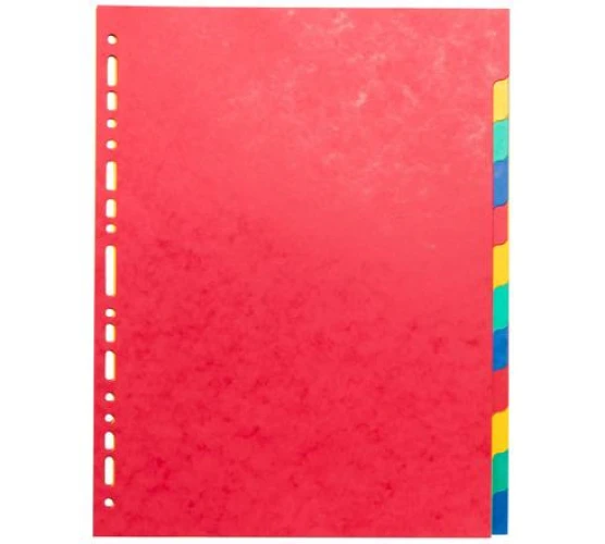EXACOMPTA Blankoregister TopColor 12-teilig