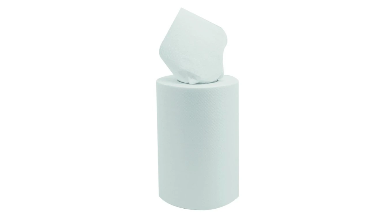 EVADIS Papierwischtücher Mini 2-lagig, 9 Rollen